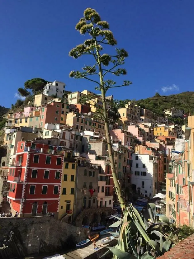 Apartment Sergeant First Class Riomaggiore